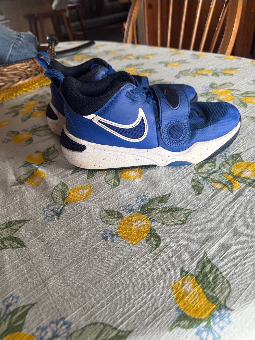 Nike Kids Royal Blue and Navy Velcro Sneakers